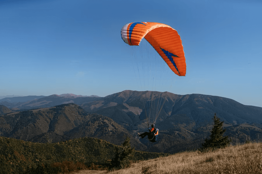Active Flight