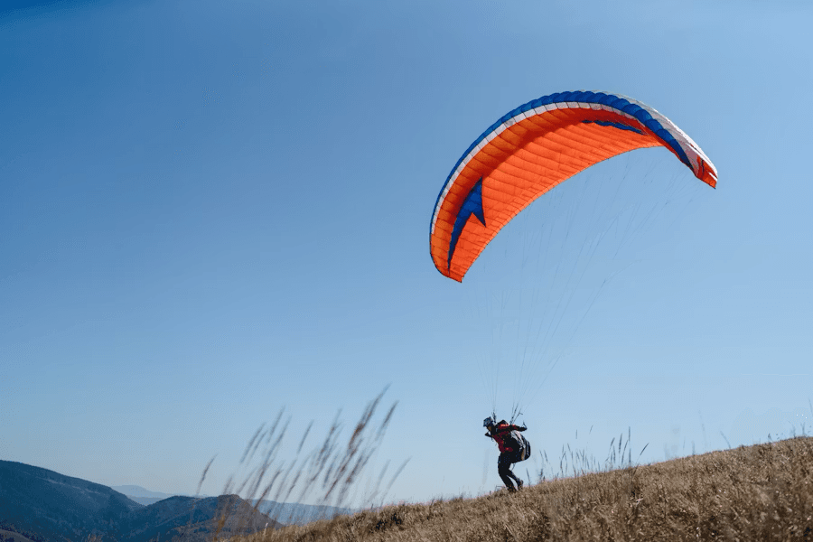 Bright Flight